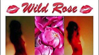 Wild Rose. Deep anal fucking.