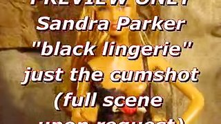 PREVIEW: Sandra Parker (black lingerie) blasted