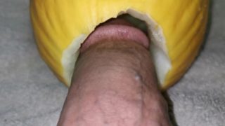 Big dick fucking Watermelon ( canari ) close up