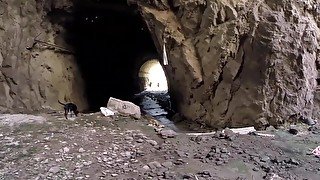 BANGBROS - MILF Aletta Ocean Anal Fucked In Cave, Gets Interrupted